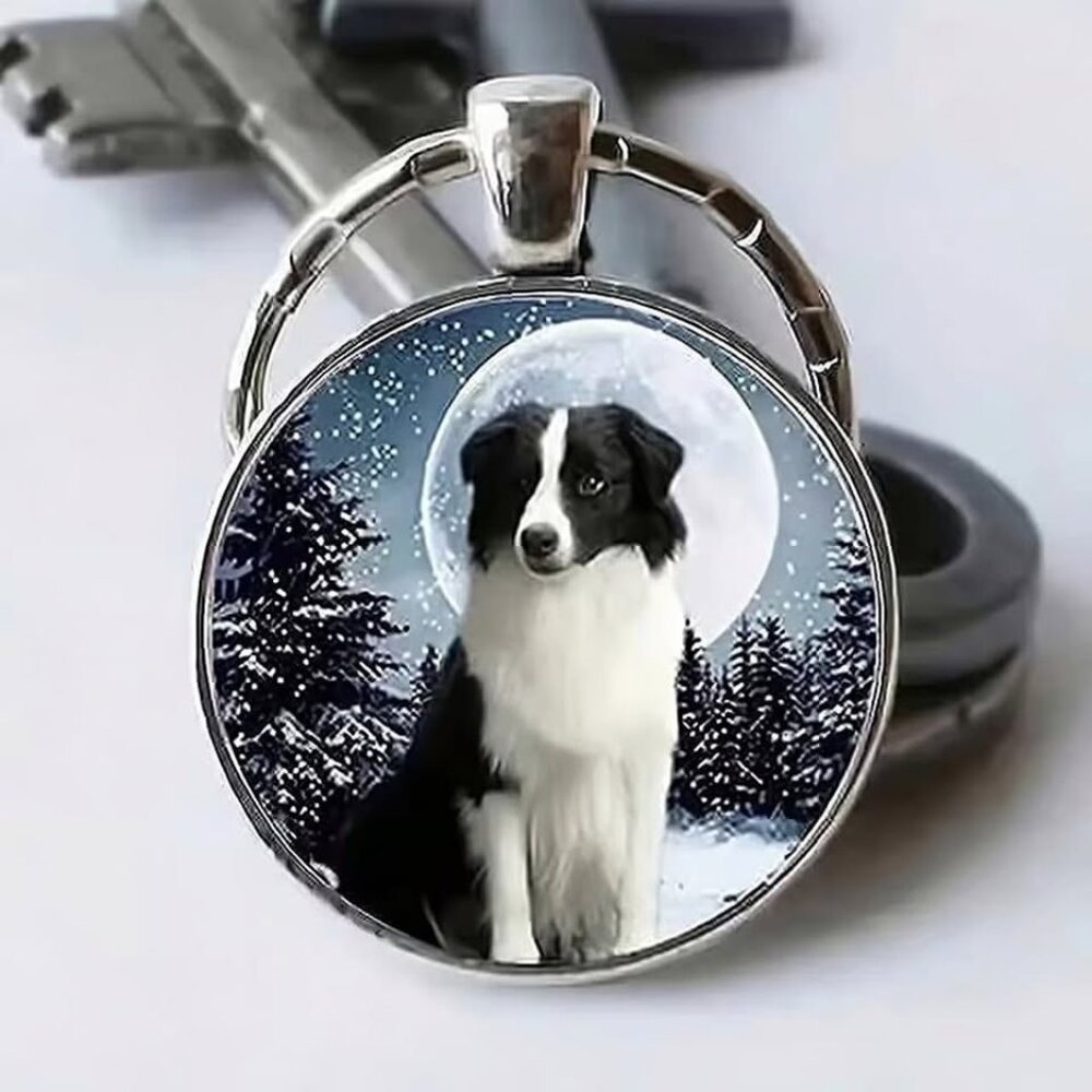 Stainless Steel BORDER COLLIE Keyring Keychain Accessory